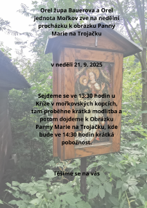 pochod-k-obrazku.png